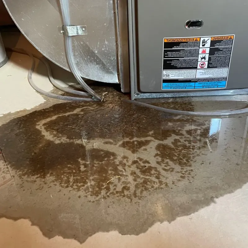 Pipe Burst and Leak Restoration in Kaibito, AZ