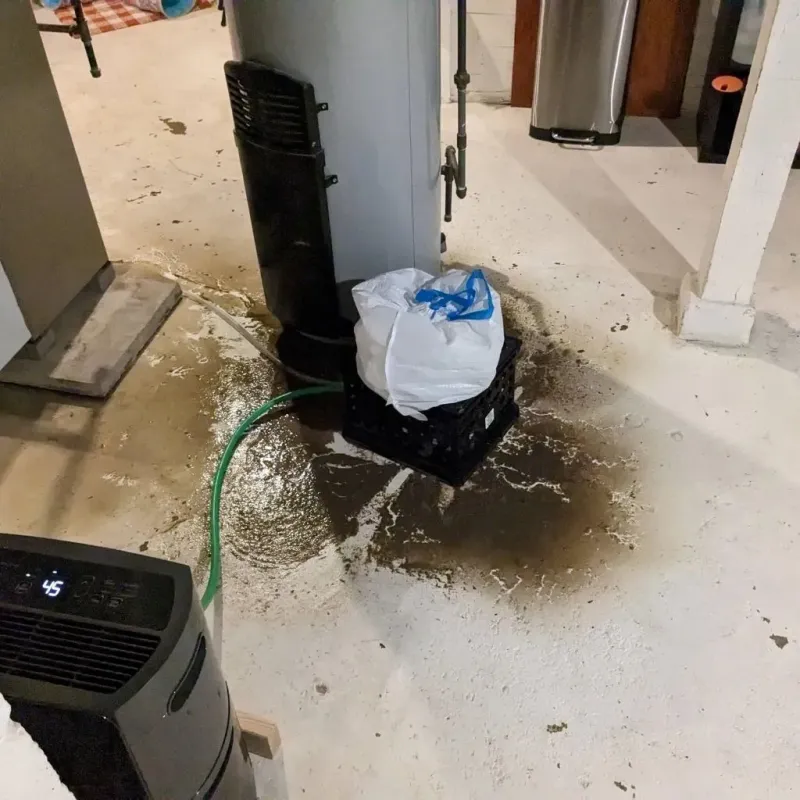 Sewage Backup Cleanup Service in Kaibito, AZ